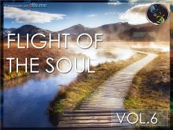 VA - Flight Of The Soul vol.6