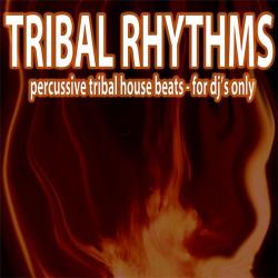 VA - Tribal Rhythms