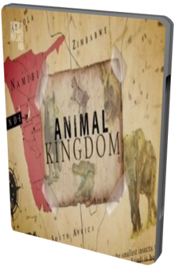  [01-06  06] / Animal Kingdom VO