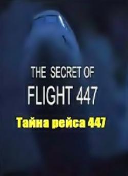   447 / The Secret of Flight 447 VO