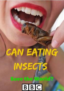      ? / Can Eating Insects Save the World? DVO