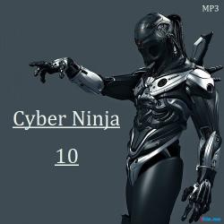 VA - Cyber Ninja 10