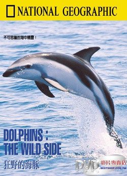 NG:   / Dolphins. The wild side