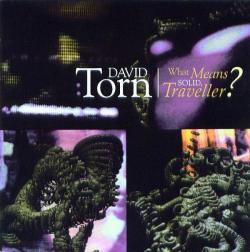 David Torn - What Means Solid, Traveller?