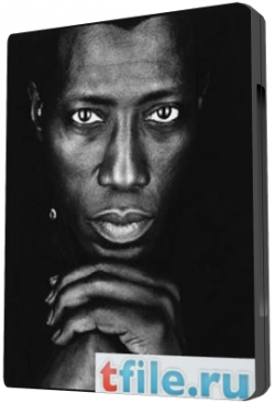    / Wesley Snipes Filmography [1998-2010] vol.2