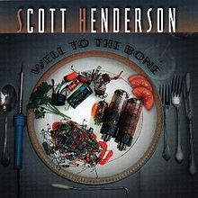 Scott Henderson - Well to the Bone