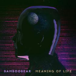 BambooBear - Meaning Of Life