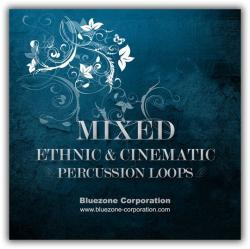 Bluezone Corporation - Mixed Ethnic Cinematic Percussion Loops