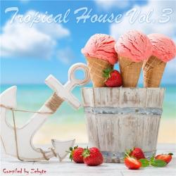 VA - Tropical House Vol.3 [Compiled by Zebyte]