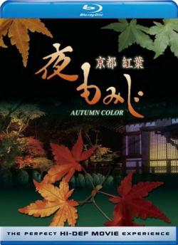    / Kyoto Autumn Color