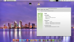 Linux Mint 11 32/64-bit