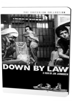   / Down by Law MVO