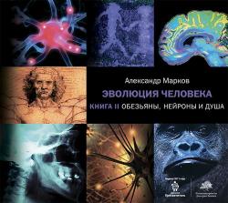 Эволюция человека 2. Обезьяны, нейроны и душа