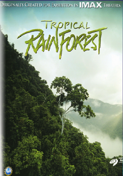   / Tropical Rainforest DVO