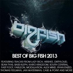 VA - Best Of Big Fish 2013