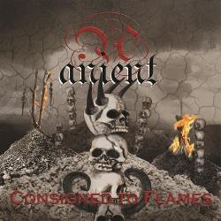 Anient - Consigned to Flames