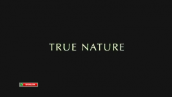   / True Nature DVO