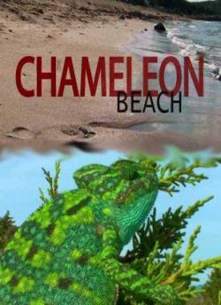   / Chameleon beach