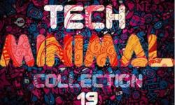VA - Tech and Minimal Collection 19 (December 2010)