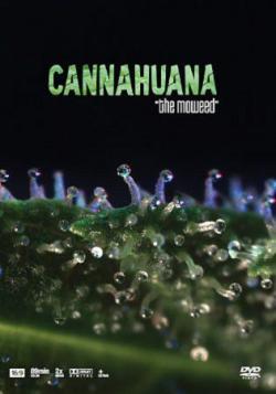  / Cannahuana. The Moweed