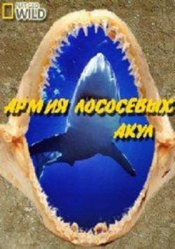    / Alaskan Killer Shark