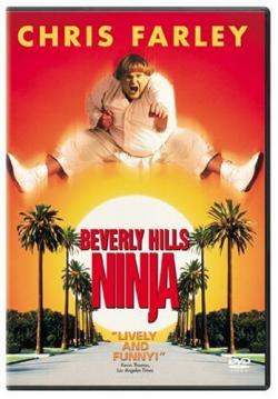     / Beverly Hills Ninja 2xMVO