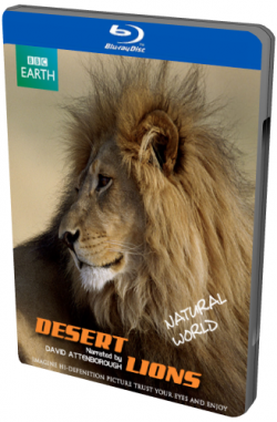  :   / Natural World: Desert Lions VO