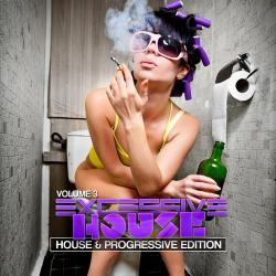 VA - Excessive House, Vol. 3