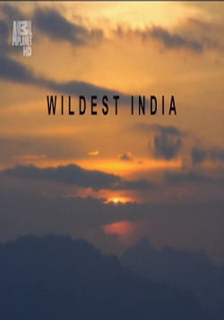    / Wildest India (3   3) VO