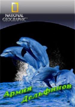   / Dolphin Army VO