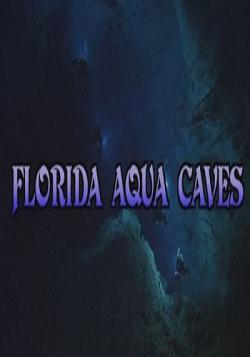     / Florida's Aqua Caves VO