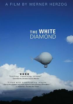   / The White Diamond AVO