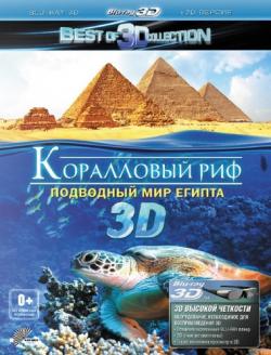   3D:    / Adventure coral reef 3D: Under the sea of Egypt [2D  3D] [RUS] VO