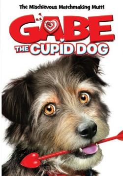- / Gabe the Cupid Dog MVO