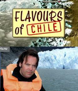   (4   4) / Flavours Of Chile VO