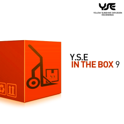 VA - Y.S.E. In the Box Vol.9