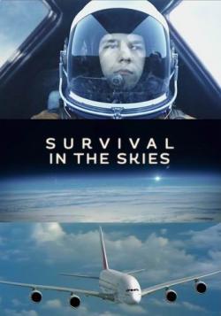    (4   4) / Survival In The Skies VO