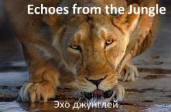   / Echoes from the Jungle (1-2   13) VO
