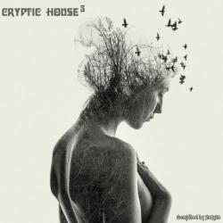 VA - Cryptic House 3 [Compiled by Zebyte]