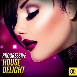 VA - Progressive House Delight