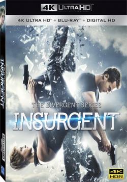 ,  2:  / Insurgent DUB