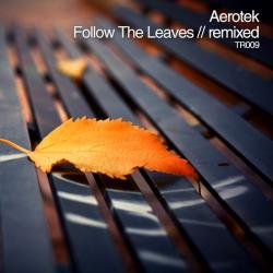 Aerotek - Follow The Leaves