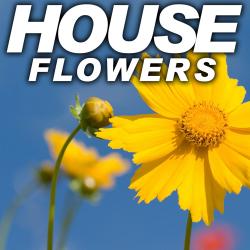 VA - House Flowers