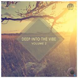 VA - Deep Into The Vibe Vol 2