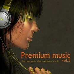 VA - Premium music vol.3