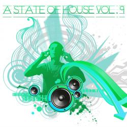 VA - A State Of House Volume 6 (2011)