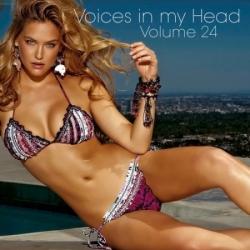 VA - Voices in my Head Volume 24