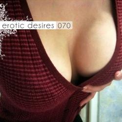 VA - Erotic Desires Volume 070