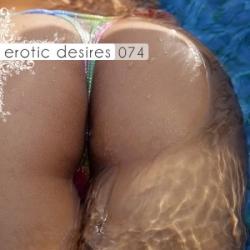 VA - Erotic Desires Volume 074