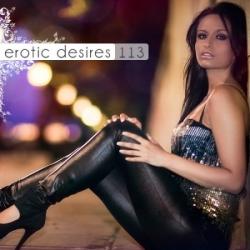 VA - Erotic Desires Volume 113